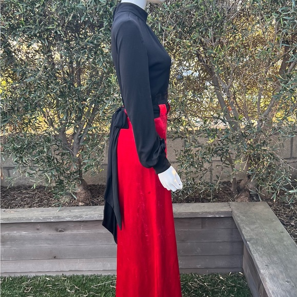 Vintage Red Velvet and Black Gown - Picture 10 of 10